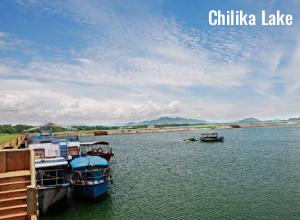 Chilika Lake boat safari with migratory birds and Irrawaddy dolphins